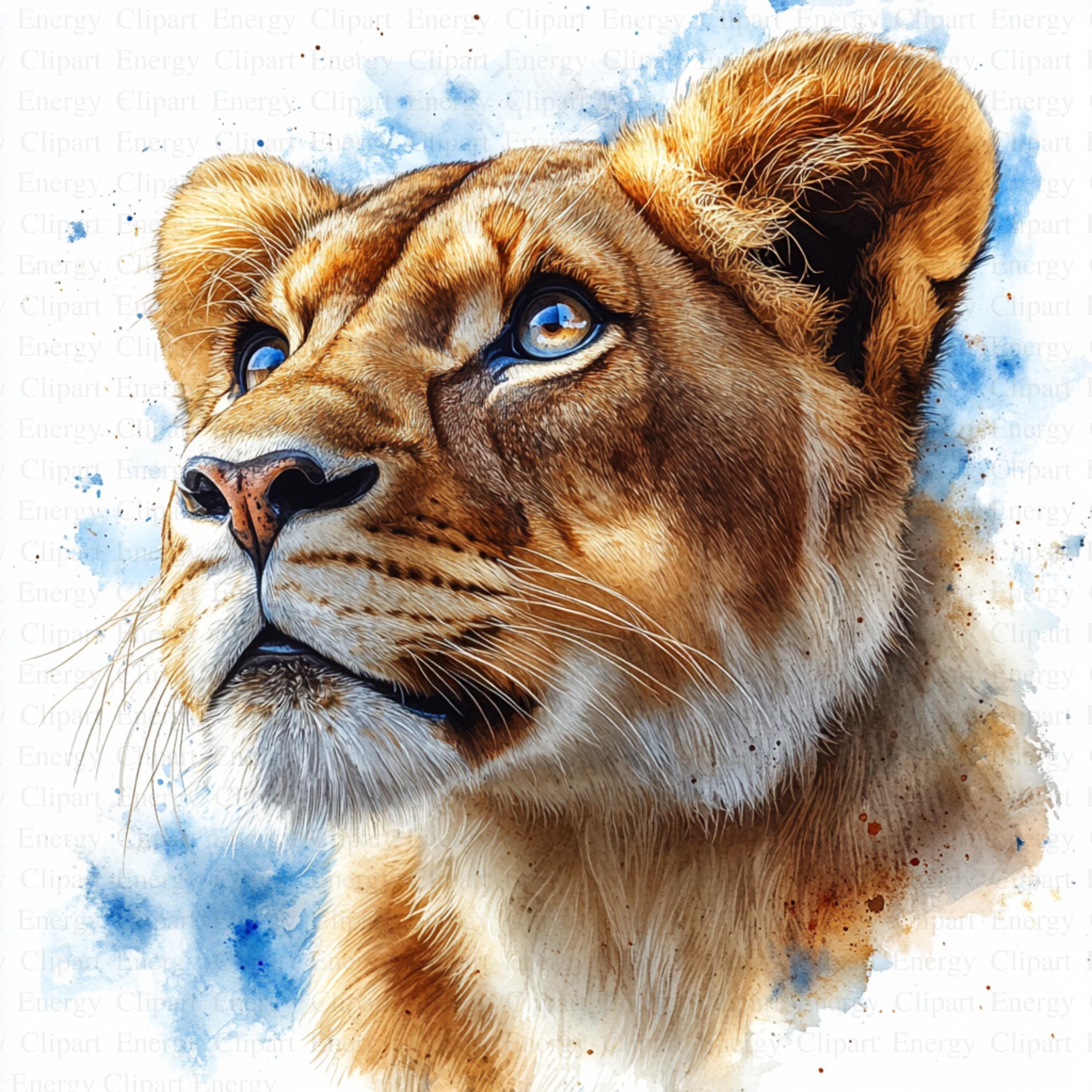 誇り高き雌ライオンのクリップアート | 5 つの高品質 JPG | デジタル