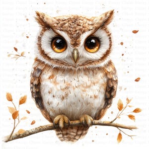 Uil-clipart | 5 JPG's van hoge kwaliteit | Digitale download | Grillige vogel | Nachtdierenkunst | Digitale afdrukken | Plakboekafbeeldingen