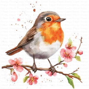 Rotkehlchen Frühling Clipart | 5 hochwertige JPGs | Digitaler Download | Vögel Illustration | Aquarell Kunst | Druckbare Grafik | Scrapbook-Bilder