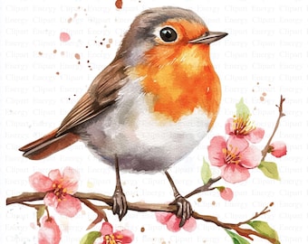 Spring Robin Clipart | 5 High Quality JPG&#39;s | Digital Download | Birds Illustration | Watercolor Art | Printable Artwork | Scrapbook Images
