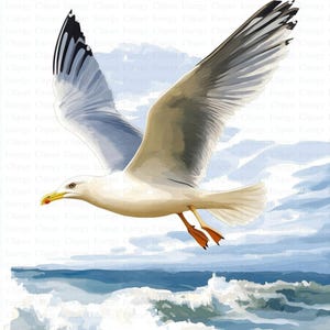 Seagull Clipart | 5 High Quality JPGs | Digital Download | Gull Clipart | Printable Watercolor Clipart | Paper Craft | Junk Journals | Art