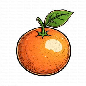 Orange Clipart |  5 hochwertige JPGs | Digitaler Download | Sommer Illustration | Zitrusfrucht Kunst | Cartoon-Stil Kunst | Digitales Basteln