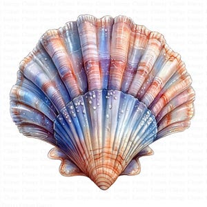 Watercolor Shell Clipart | 5 High Quality JPG&#39;s | Digital Download | Coastal Shell Art | Shell Art | Beach | Paper Craft | Junk Journals