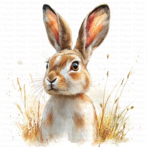 May include: A watercolor painting of a brown and white rabbit with long ears, looking to the left. The rabbit is surrounded by tall, thin blades of grass.