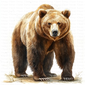 Clipart Ours grizzli | 5 fichiers JPG de haute qualité | Téléchargement numérique | Art majestueux d'ours | Illustration de la faune | Images de scrapbooking | Fabrication de cartes