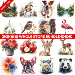 Clipartbundel met hele winkel: alle producten + toekomstige releases | Hoge kwaliteit JPG's | Digitale download | Illustraties | Kaarten maken | Scrapbooken