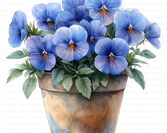 May include: A terracotta pot filled with a cluster of blue pansies. The pansies have yellow centers and are arranged in a bouquet-like shape.