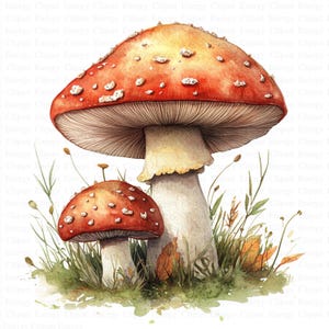 Clipart champignon vénéneux | 5 fichiers JPG de haute qualité | Téléchargement numérique | Art de la forêt | Dessins de champignons | Art des bois | Technique mixte | clipart fée