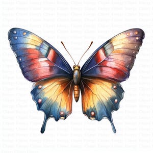 Aquarelle de papillons fantaisistes | 5 fichiers JPG de haute qualité | Téléchargement numérique | Art papillon | Illustration d'insecte mignon | Art printanier