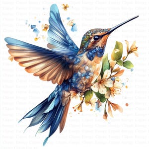 Hummingbird Clipart | 5 High Quality JPGs | Digital Download | Adorable Colibri | Printable Watercolor Clipart | Paper Craft | Junk Journals