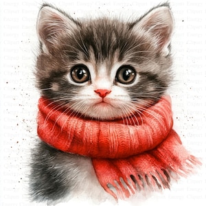 Clipart kitten met sjaal | 5 JPG's van hoge kwaliteit | Digitale download | Junkjournaal | Kattenclipart | Afdrukbare aquarel clipart | Papiermodellen