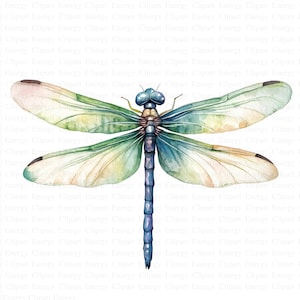 May include: A watercolor painting of a dragonfly with blue and green wings. The dragonfly is in flight with its wings spread out.