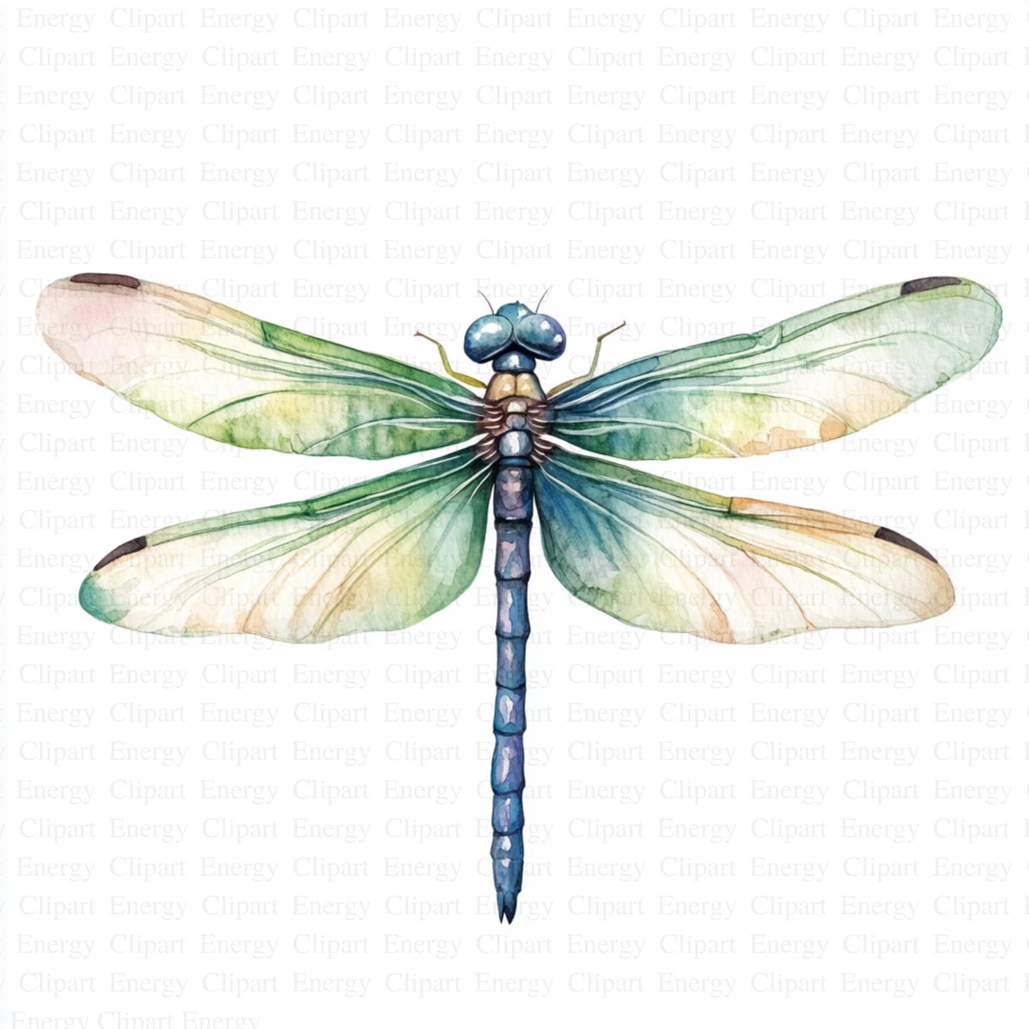 Dragonfly Clipart | 5 High Quality JPGs | Digital Download | Insect Art | Watercolor Dragonfly | Printable Artwork | Junk Journals | Clipart