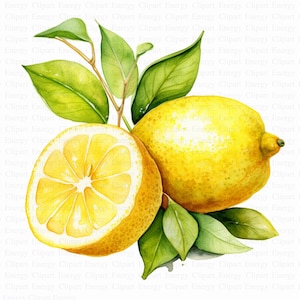 Imágenes prediseñadas de limones / 5 archivos JPG de alta calidad / Descarga digital / Frutas cítricas / Frutas de verano / Limón de acuarela / Arte imprimible / Paquete de imágenes prediseñadas