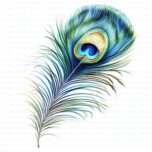 Peacock Feather Clipart | 5 High Quality JPGs | Digital Download | Gorgeous Peacock | Printable Watercolor Clipart | Junk Journal | Wall Art