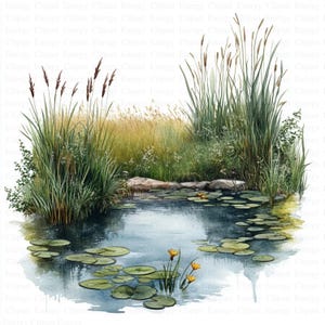 May include: A watercolour painting of a pond with lily pads and yellow flowers. The pond is surrounded by green reeds and grasses.