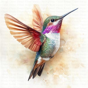 Papeles románticos de colibríes / 5 archivos JPG de alta calidad / Descarga digital / Arte elegante de colibríes / Paquete de imágenes prediseñadas de pájaros / Imágenes de álbumes de recortes