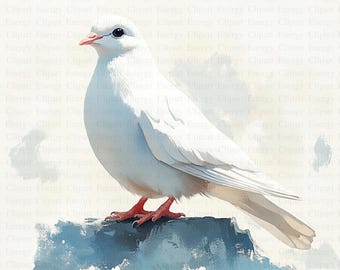 白い鳩のクリップアート | 5 つの高品質 JPG | デジタル ダウンロード
