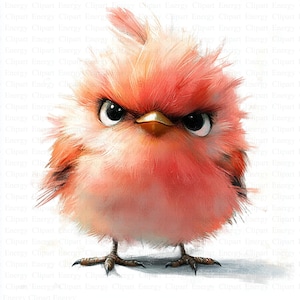 Grumpy Birds Clipart | 5 High Quality JPGs | Digital Download | Printable Clipart | Cute Fluffy Birds | Digital Clipart | Watercolor Clipart