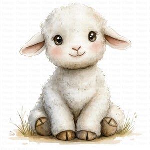 Clipart di agnello ad acquerello / 5 JPG di alta qualità / Download digitale / Cucciolo di animale / Illustrazione di fattoria / Clipart di campagna / Clipart di animali