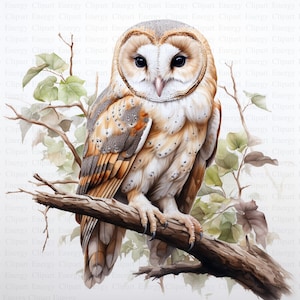 May include: A brown and white barn owl with large, dark eyes perched on a branch with green leaves. The owl has a white face and a brown body with white spots.
