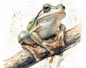 Frosch Clipart | 5 hochwertige JPGs | Digitaler Download | Lustige grüne Amphibie | Kröte Illustration | Clipart-Bilder