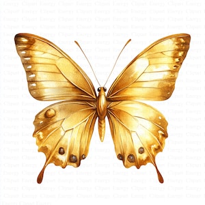 Elegante farfalla dorata Clipart / 5 JPG di alta qualità / Download digitale / Arte decorativa della farfalla dorata / Illustrazione della natura / Clipart