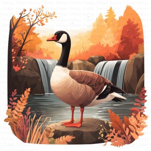 Canadian Goose Clipart | 5 High Quality JPG&#39;s | Digital Download | Bird Art | Canadian Goose Graphic | Nature Design