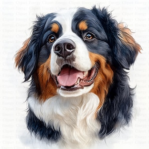 Berner Sennenhund Clipart | 5 hochwertige JPGs | Digitaler Download | Haustier Kunst | Hund Clipart | Aquarell Cliparts | Digitale Drucke