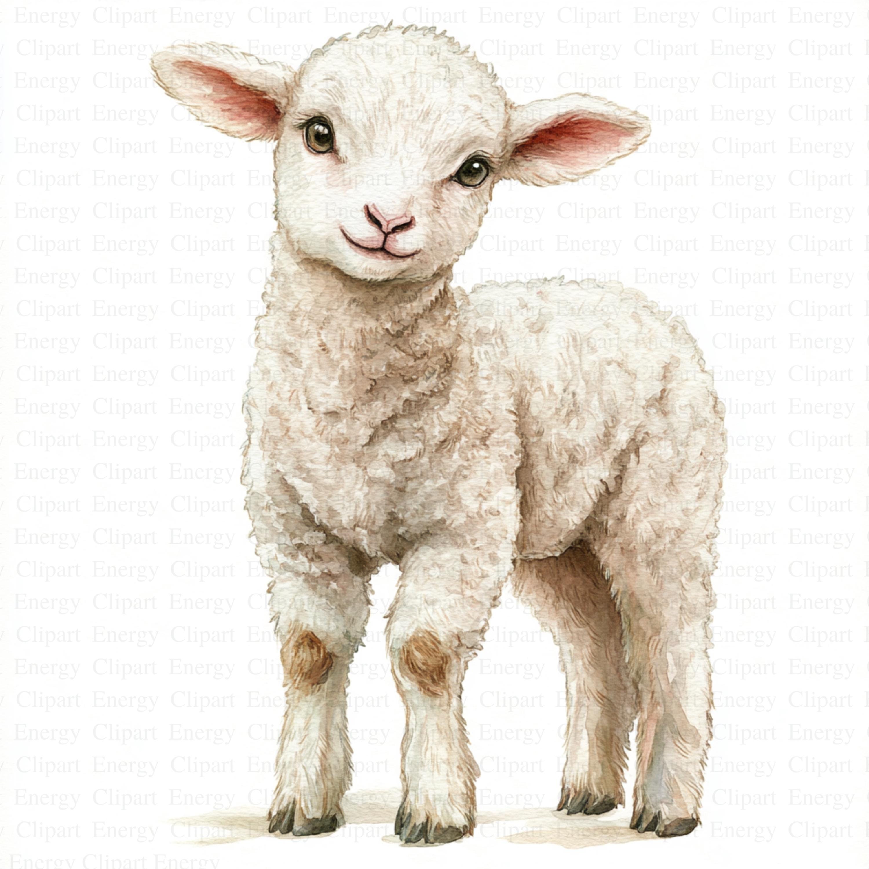Lamb Clipart | 5 High Quality JPG's | Digital Download | Baby Animal Art | Farm Illustration | Countryside Cliparts | Cute Animal Clipart