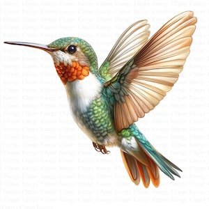 Hummingbird Clipart | 5 High Quality JPGs | Digital Download | Junk Journal | Adorable Colibri | Printable Watercolor Clipart | Paper Craft