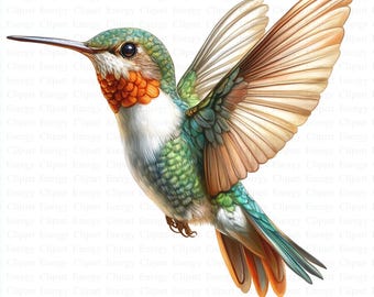 Hummingbird Clipart | 5 High Quality JPGs | Digital Download | Junk Journal | Adorable Colibri | Printable Watercolor Clipart | Paper Craft
