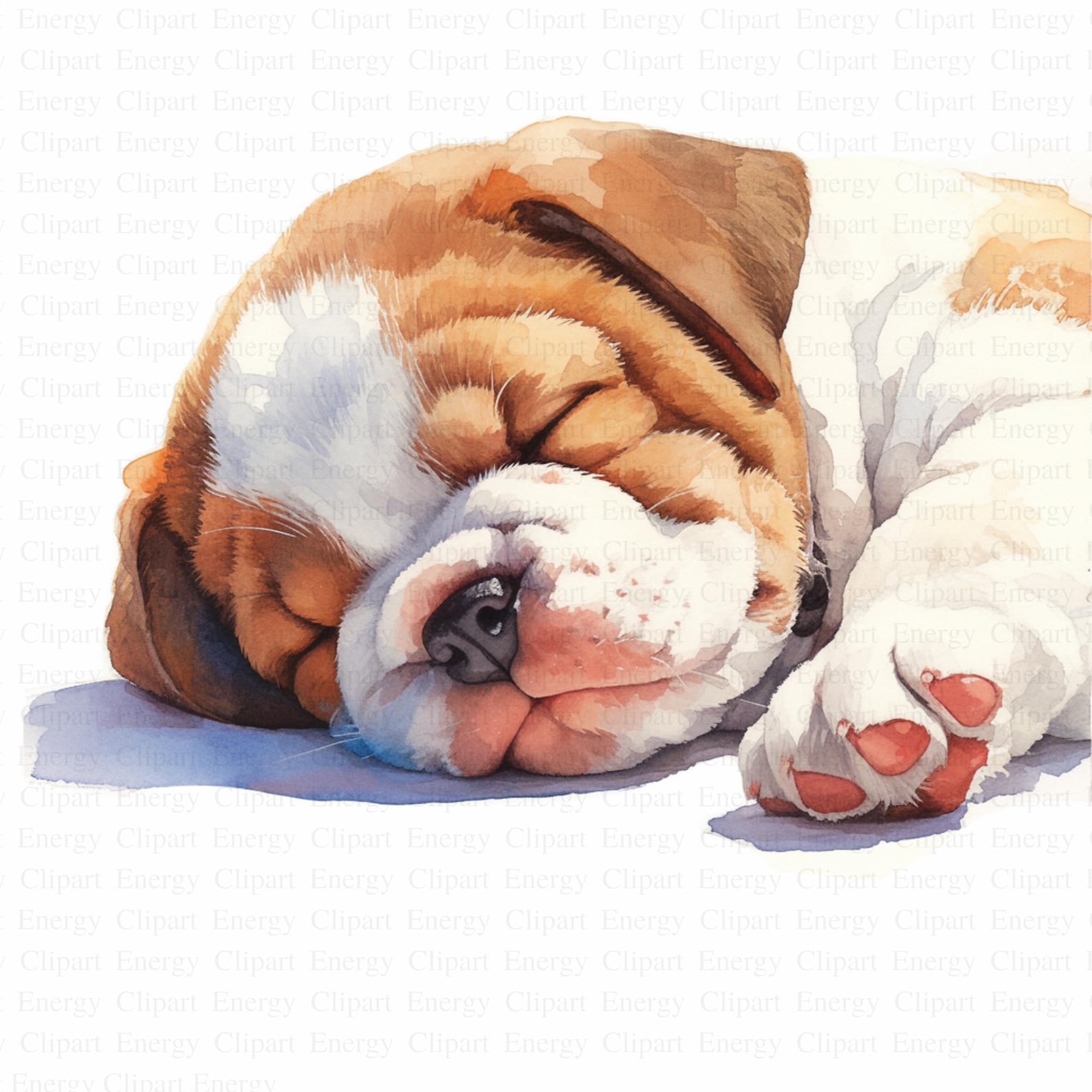 Cute Puppy Sleeping Clipart | 5 High Quality Jpg's | Digital Download ...