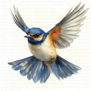 Hirondelle des cliparts | 5 fichiers JPG de haute qualité | Téléchargement numérique | Illustration d'oiseau en vol | Art d'hirondelle | Journaux indésirables | Pack d'illustrations imprimables