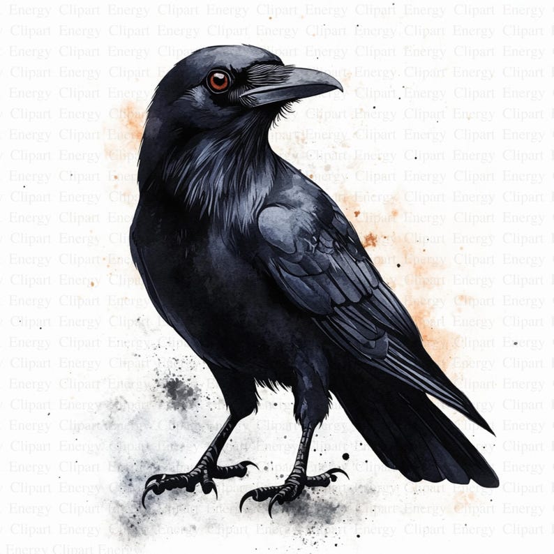 May include: A black raven with a watercolor effect, perched on a white background with subtle orange splatter.