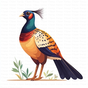 Clipart faisan aquarelle | 5 fichiers JPG de haute qualité | Téléchargement numérique | Art d'oiseau | Graphique de faisan | Design rustique | Technique mixte