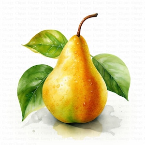 Clipart di pere ad acquerello / 5 JPG di alta qualità / Download digitale / Illustrazione di pere fresche / Arte stampabile / Immagini di collage / Tecnica mista