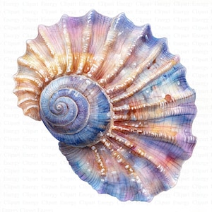 Gorgeous Sea Shells Clipart | 5 High Quality JPGs | Digital Download | Art | Seashell Clipart | Printable Watercolor Clipart | Paper Craft