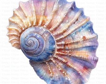 Gorgeous Sea Shells Clipart | 5 High Quality JPGs | Digital Download | Art | Seashell Clipart | Printable Watercolor Clipart | Paper Craft