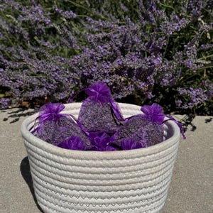 Lavender Sachets
