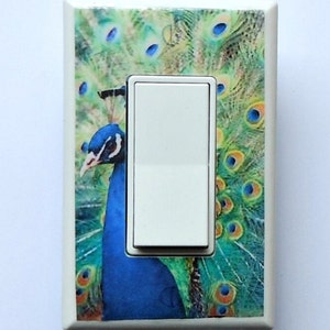 PEACOCK Rockers, Outlet covers and Switchplates with MATCHING SCREWS- Peacock decorations peacock prints peacock wall decor peacock wall art