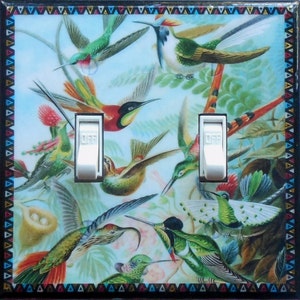 Various styles of Hummingbird plates with MATCHING SCREWS- double rocker switchplate switch hummingbirds switch cover bird art print Haekel