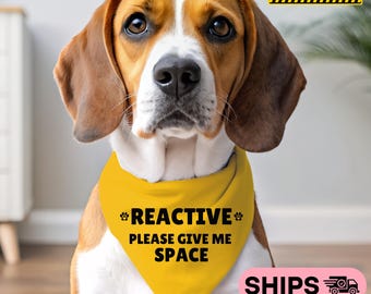 May include: A yellow dog bandana with black paw prints and the text "REACTIVE PLEASE GIVE ME SPACE" on a beagle dog.