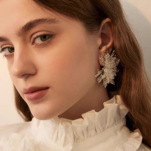 May include: A large, statement earring featuring a cluster of clear, crystalline, and silver-toned shards arranged in a starburst pattern. The earring has a textured, multi-faceted appearance with varying lengths of pointed elements radiating from a central point.