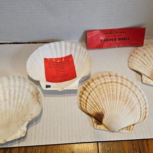 New VTG Genuine Scallop Shell  for Baking Serving 1950's 1960's Japan