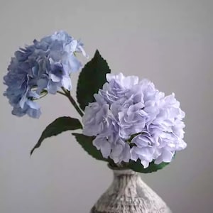 以下が含まれることがあります： テクスチャ加工されたオフホワイトの花瓶に、薄い青色の紫陽花の花が飾られた静物画。花は複数の花びらの層があり、濃い緑色の葉が添えられています。花瓶は素朴で古びた外観をしています。