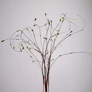 113 cm set med 3 stjälkar av lockiga gröna knoppar med äkta touch - högkvalitativ konstgjord blomgren, realistisk och nyckfull vårgrönska för bröllop