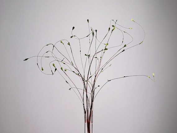 43" Set of 3 Real Touch Curly Green Bud Stems - High Quality Faux Artificial Floral Branch, Realistic Whimsical Spring Greenery for Wedding