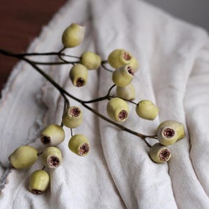 May include: A sprig of decorative eucalyptus with pale green buds and brown centers, resting on a white linen cloth. The eucalyptus branch has a dark brown stem and is arranged diagonally across the frame.