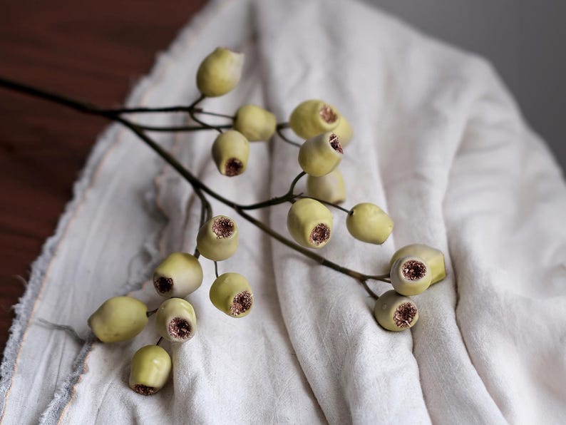 May include: A sprig of decorative eucalyptus with pale green buds and brown centers, resting on a white linen cloth. The eucalyptus branch has a dark brown stem and is arranged diagonally across the frame.